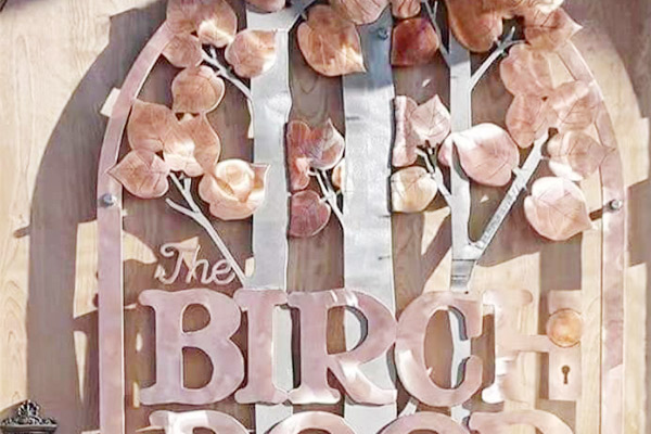 Образец шоу